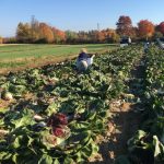 Chaseholm Farm Store