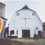 Chaseholm Farm Store